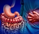 Estrogen drives gut pain and explains higher rates of IBS in women
