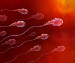 World-first stem cell research may help male infertility