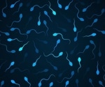 AI model predicts male infertility risk using blood hormone levels