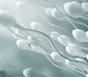Study uncovers key protein complex controlling sperm motility and male fertility
