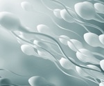 Small RNAs can play critical roles in male infertility/contraception