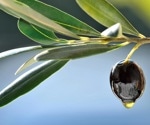 Olive oil protects against oxidative damage of hepatic tissue