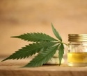 Cannabis extract can improve behavior of children and teens with autism spectrum disorder