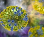 Predicting H5N1 disease severity based on T cell responses