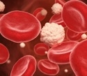 Long-term diabetes changes red blood cells, increasing cardiovascular disease risk