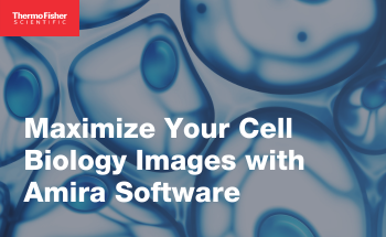 Maximize your cell biology images with Amira Software