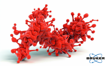 The role of lipoproteins in inflammatory response